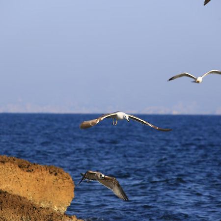 Amara Dos Διαμέρισμα Martigues Εξωτερικό φωτογραφία