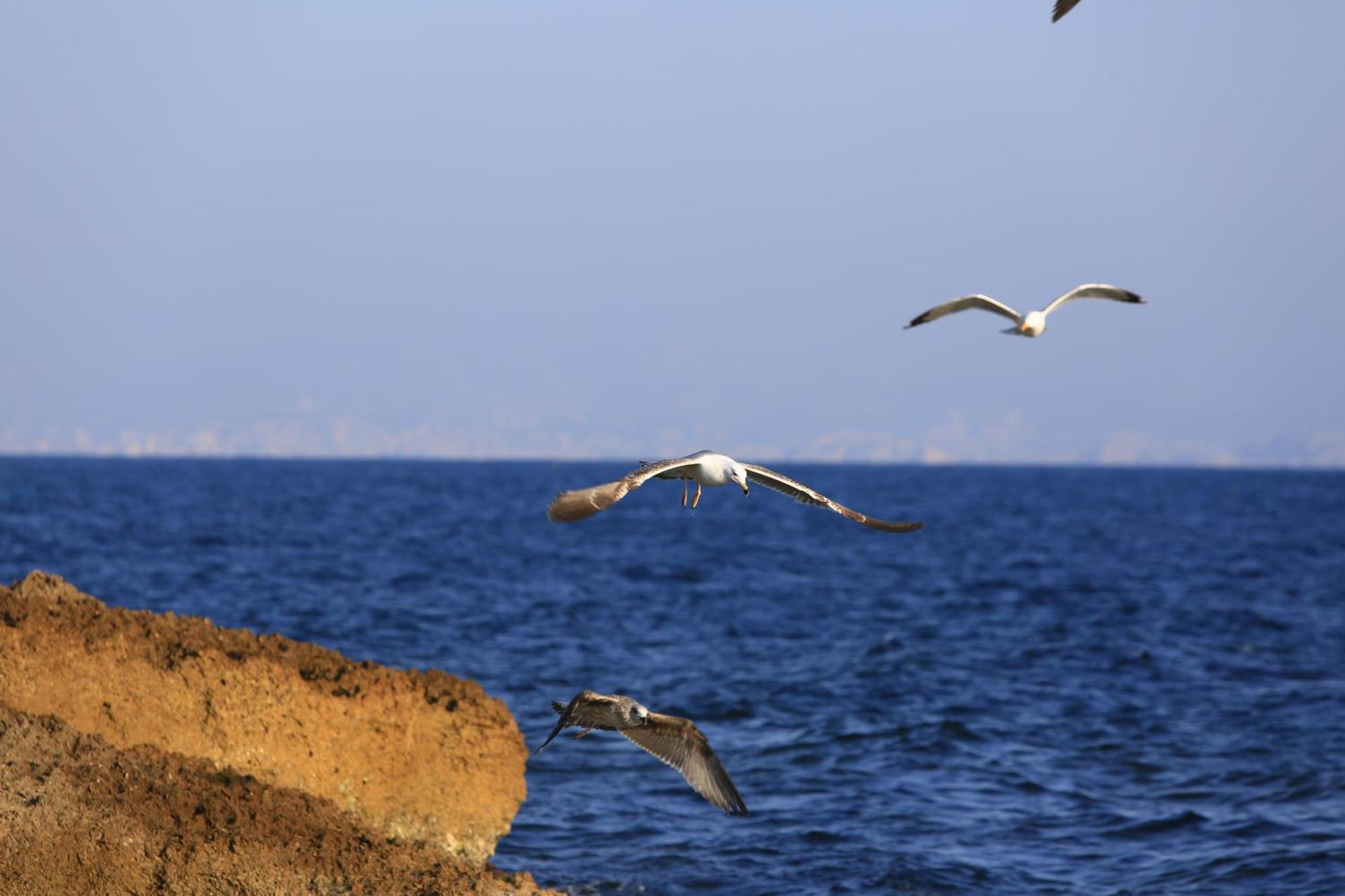 Amara Dos Διαμέρισμα Martigues Εξωτερικό φωτογραφία